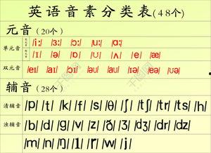 王卫强48音标教学视频,轻松掌握英语发音秘诀