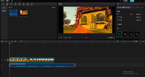 配音视频制作,声音演绎的视觉盛宴