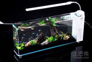 水族箱制作视频教程,从零开始打造你的海洋世界