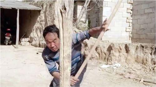 打木桩视频,一招一式见证传统技艺