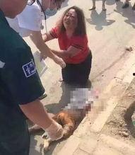 美少女死亡视频大全,美少女死亡视频大全背后的真相与警示