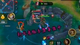 王者荣耀老版猴子视频,王者荣耀老版猴子的风采再现