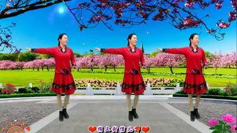 广场舞送情郎视频,广场舞中的浪漫“送情郎”