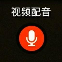 镇平话配音视频大全,方言魅力尽展银幕