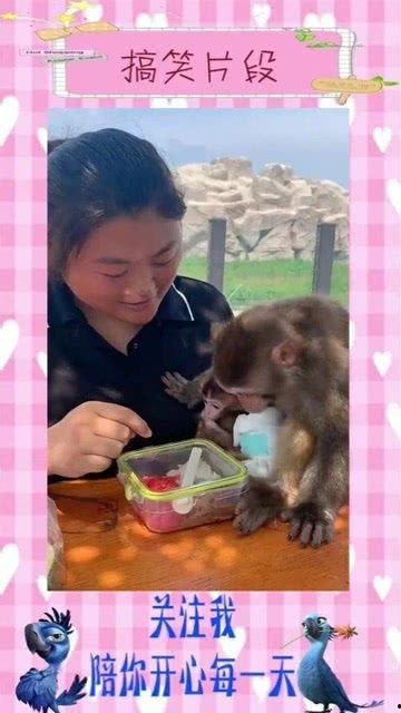 爱就爱看小视频